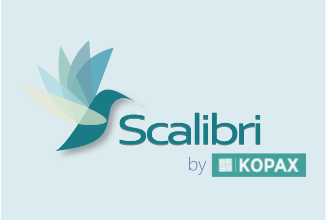 Logo Scalibri